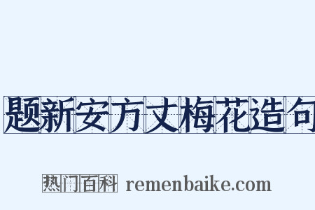 题新安方丈梅花造句是什么意思的图片